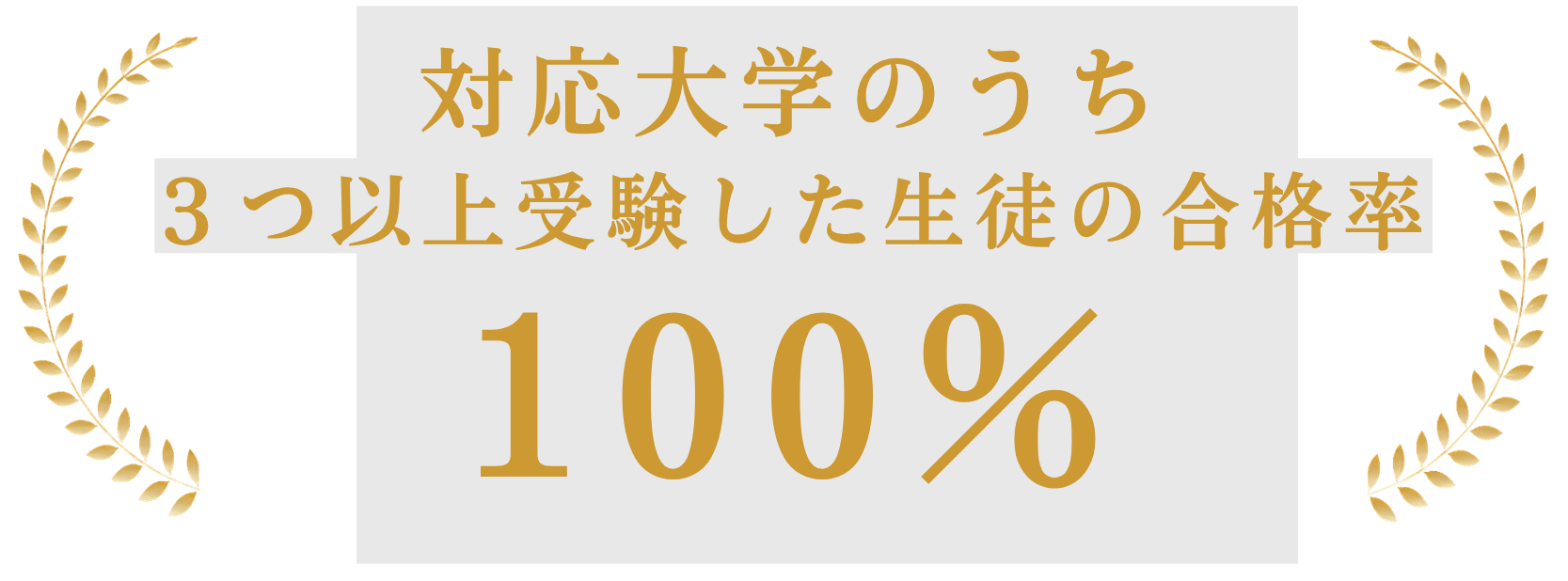 実績100%